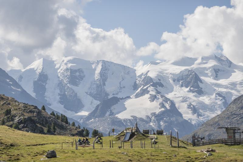 Alp Languard in Pontresina