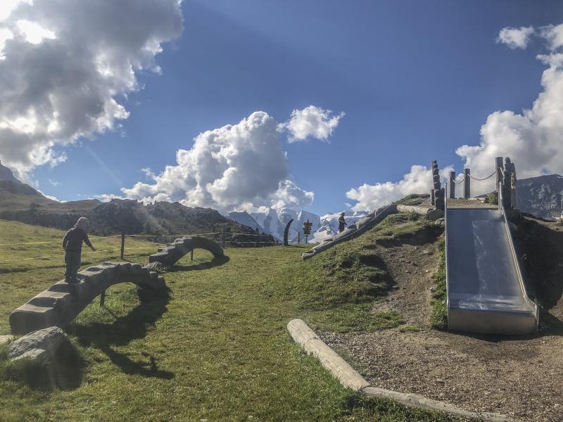 Alp Languard in Pontresina